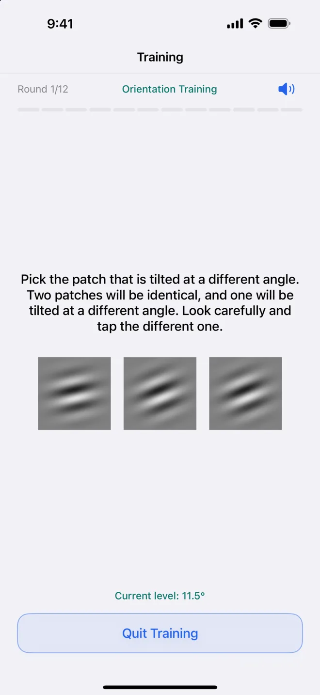 Visionary orientation exercise: three Gabor patches, tap the one tilted at a different angle