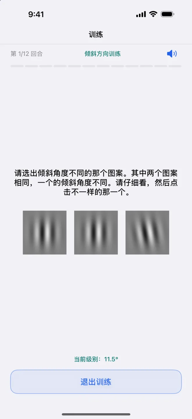 Get Visionary 倾斜方向训练,第 1 回合(共 12 回合)
