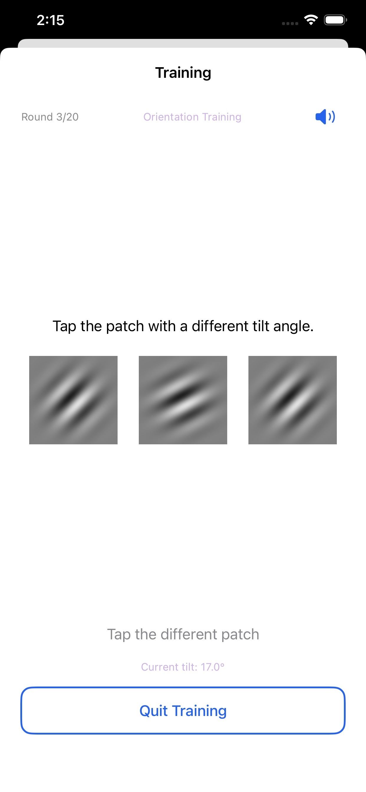 Visionary Training Screen